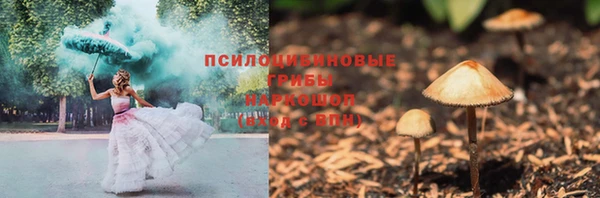 a pvp Осинники